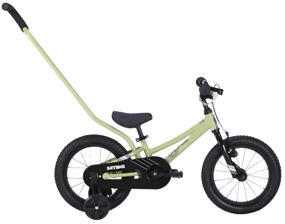 BYK E-250 MTBGx1 - Sage Green/Black