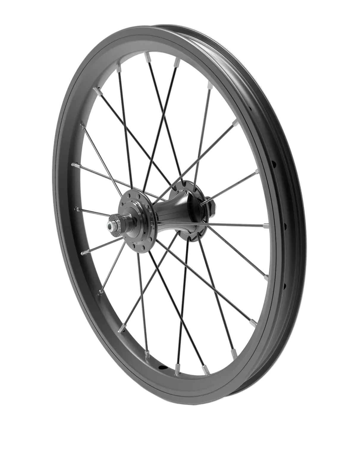 Early Rider 16" Front Wheel, Black, 100mm OLD, A/V Valve