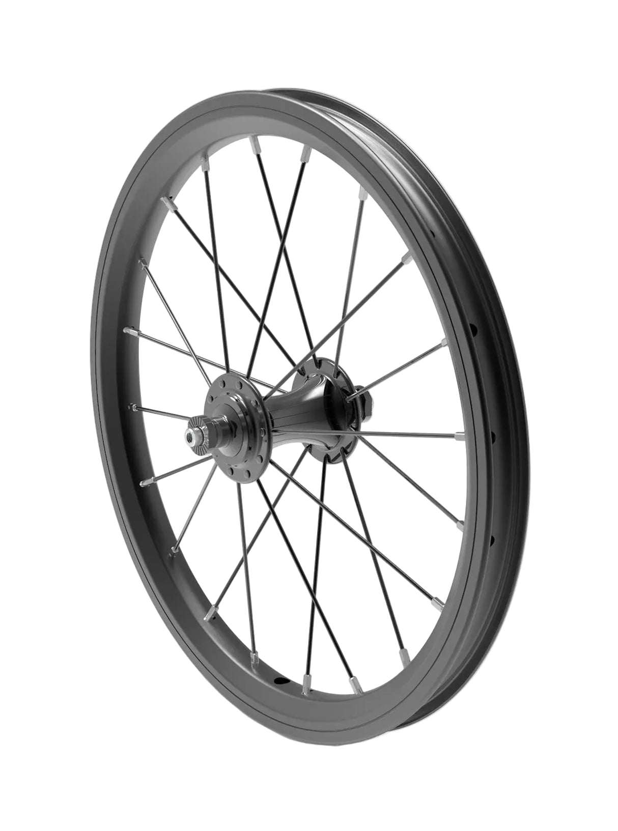 Early Rider 16" Front Wheel, Black, 100mm OLD, F/V Valve