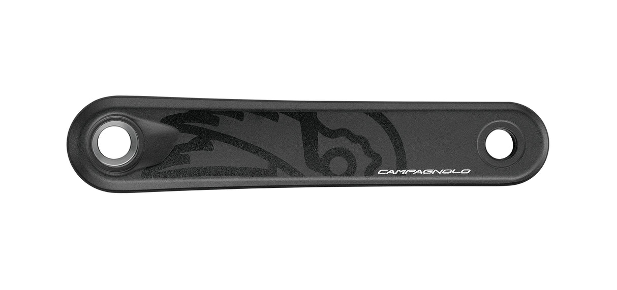 Campagnolo Ekar GT ProT 172.5mm Crankset (13-Speed)
