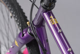 Genesis Fugio 30 650B Adventure Bike - Pink/Purple