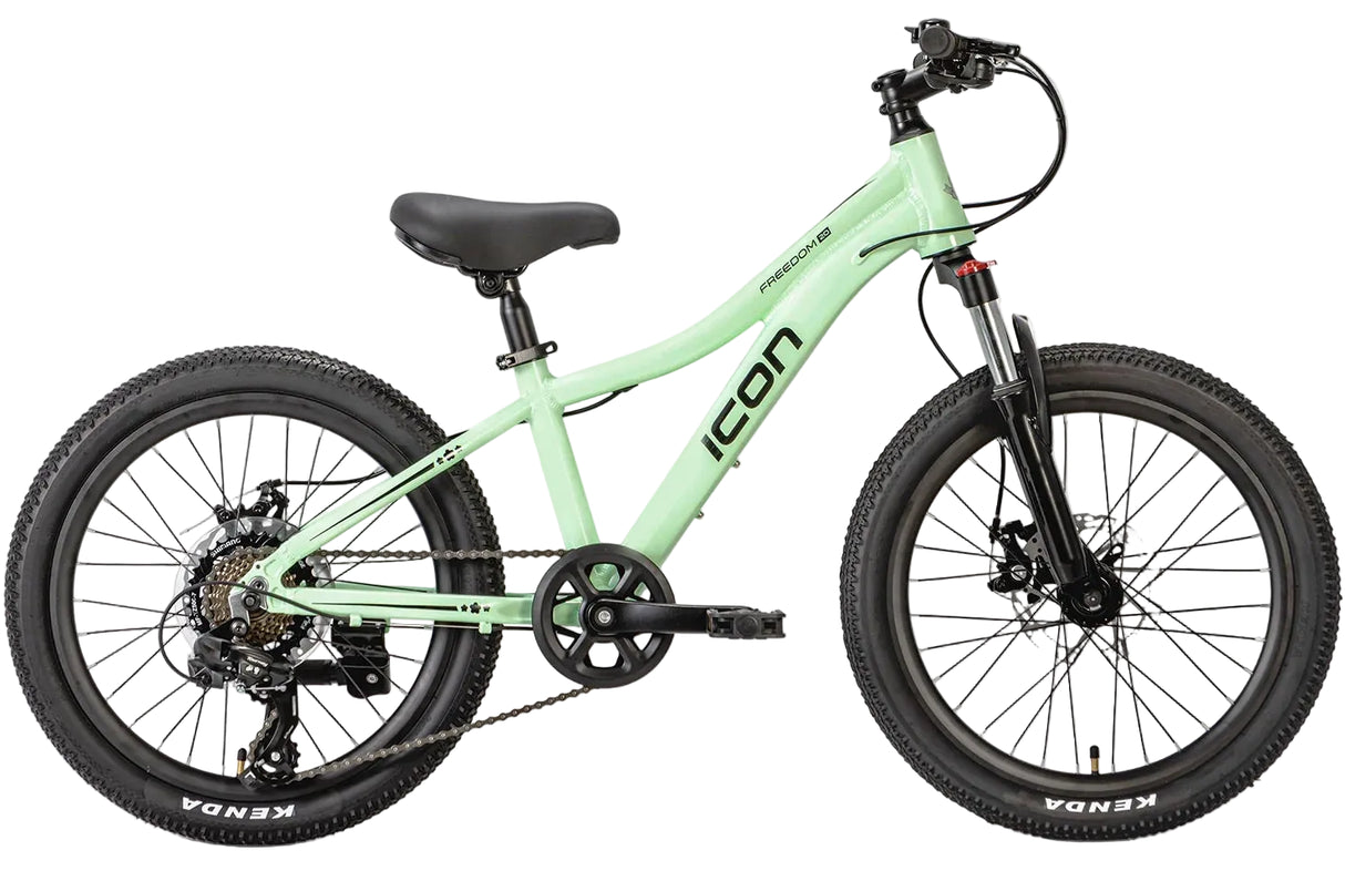 Icon Freedom 20" Girls MTB Mint Kids Bike