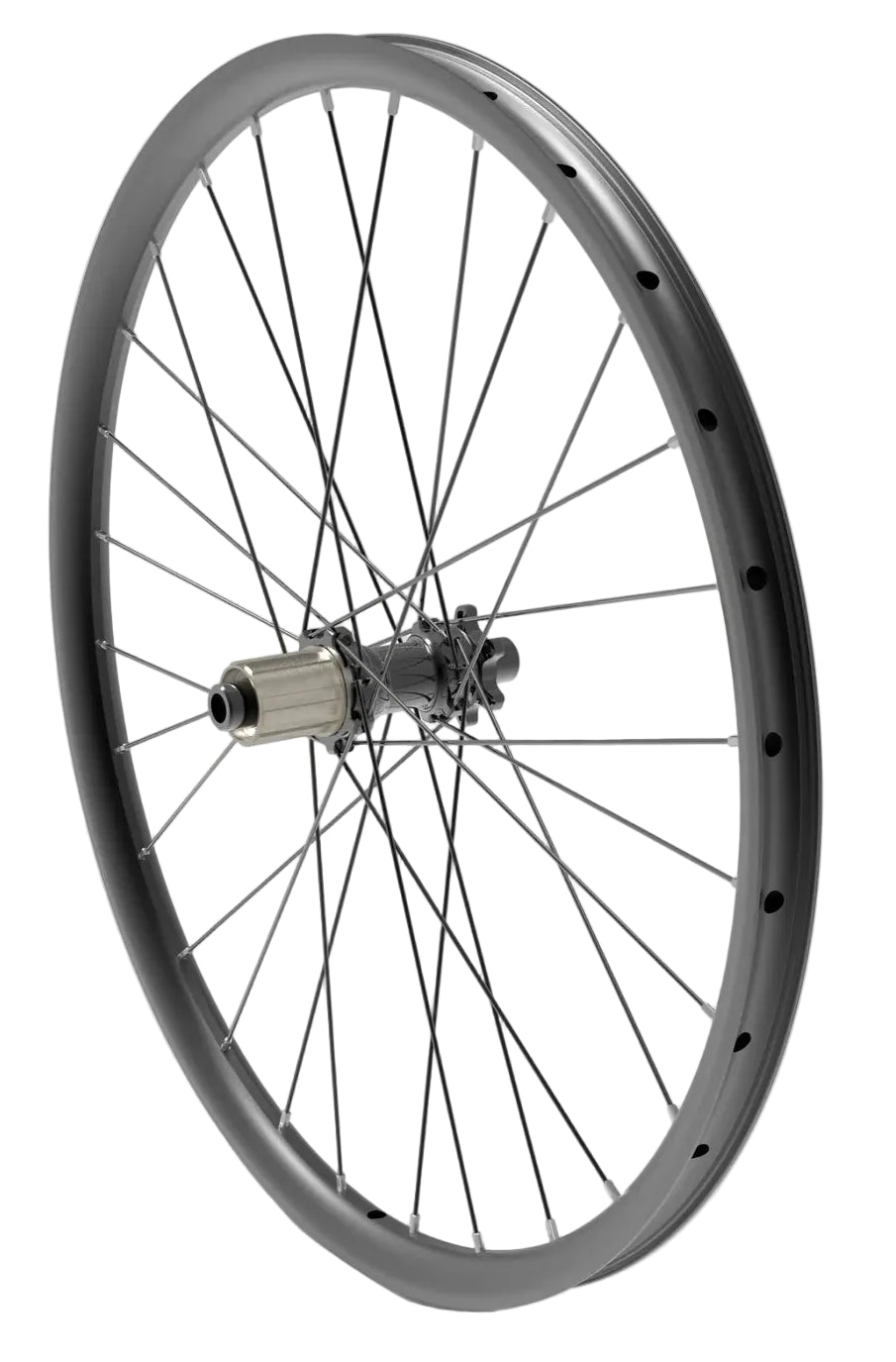 Early Rider 24" Hellion Rear Wheel Assembly