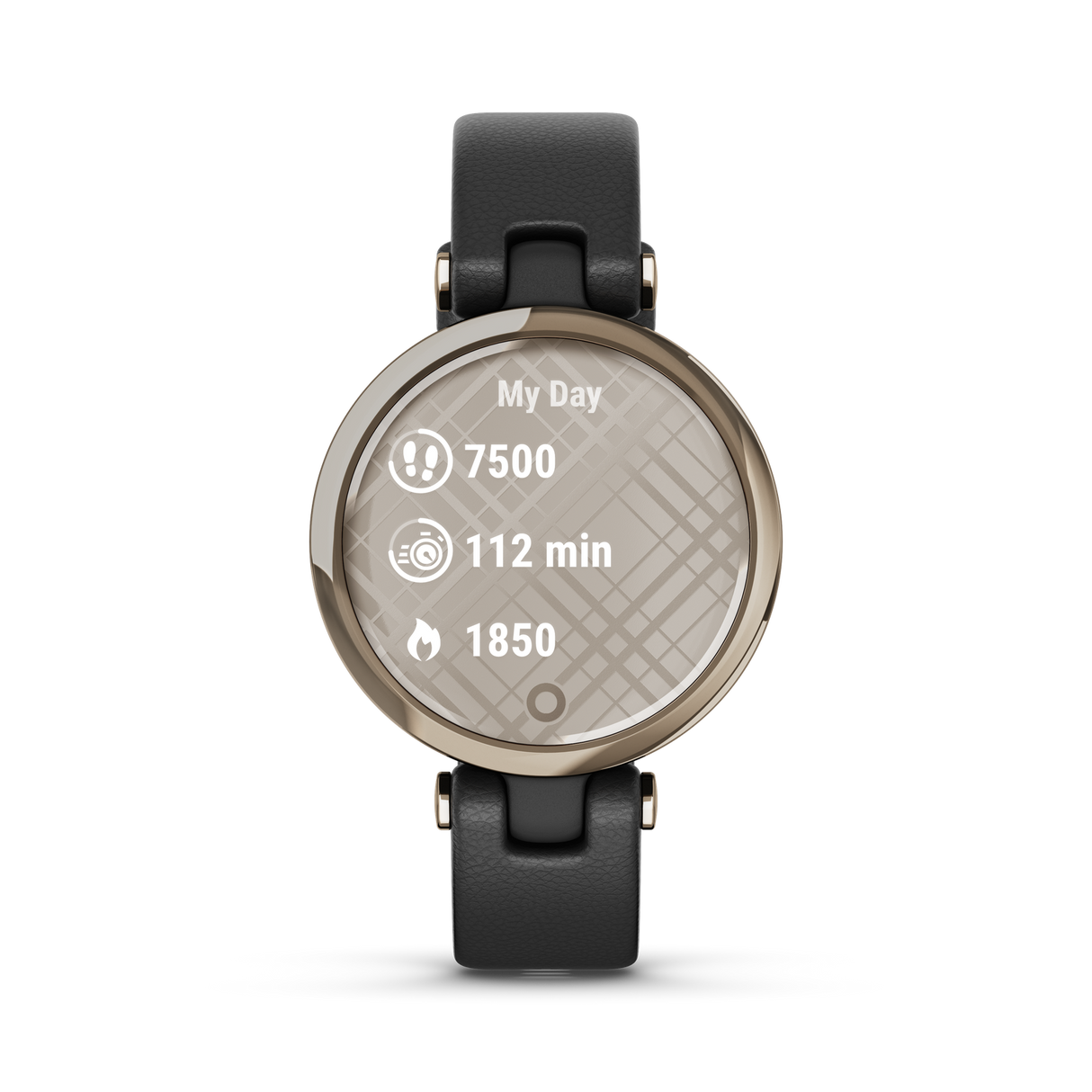 Garmin Lily Cream Gold Black Leather Watch