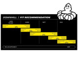 Michelin DH22 Raceline