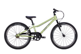 BYK E-450 MTBGx1 Sage Green/Black