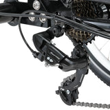 Progear E-Free 24" E-Trike