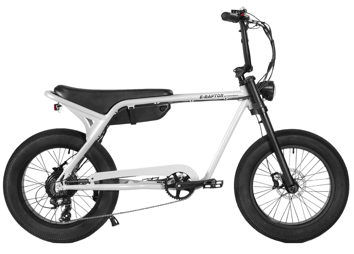 Progear E-Raptor 20" Electric Street Bike + Throttle