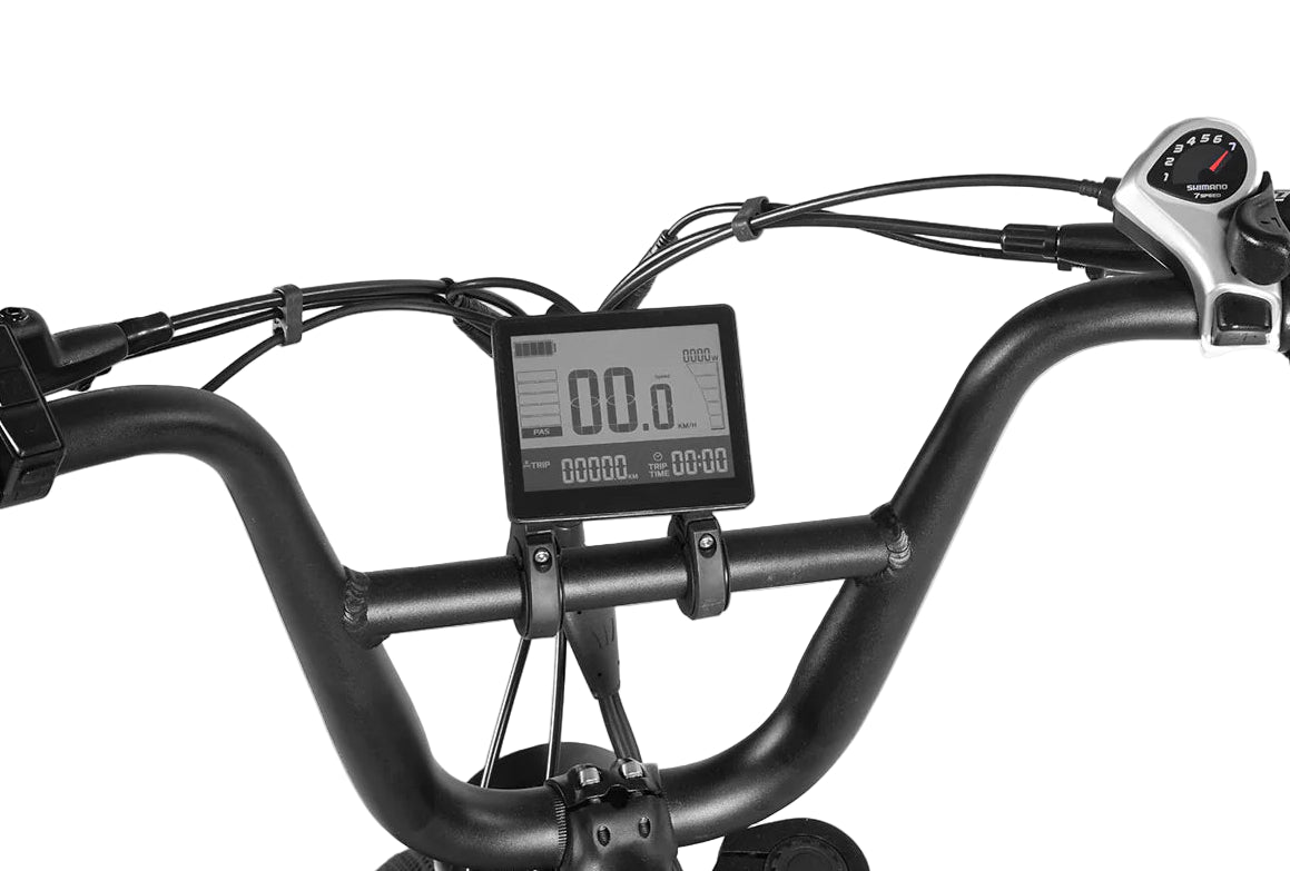 Progear E-Raptor 20" Electric Street Bike + Throttle