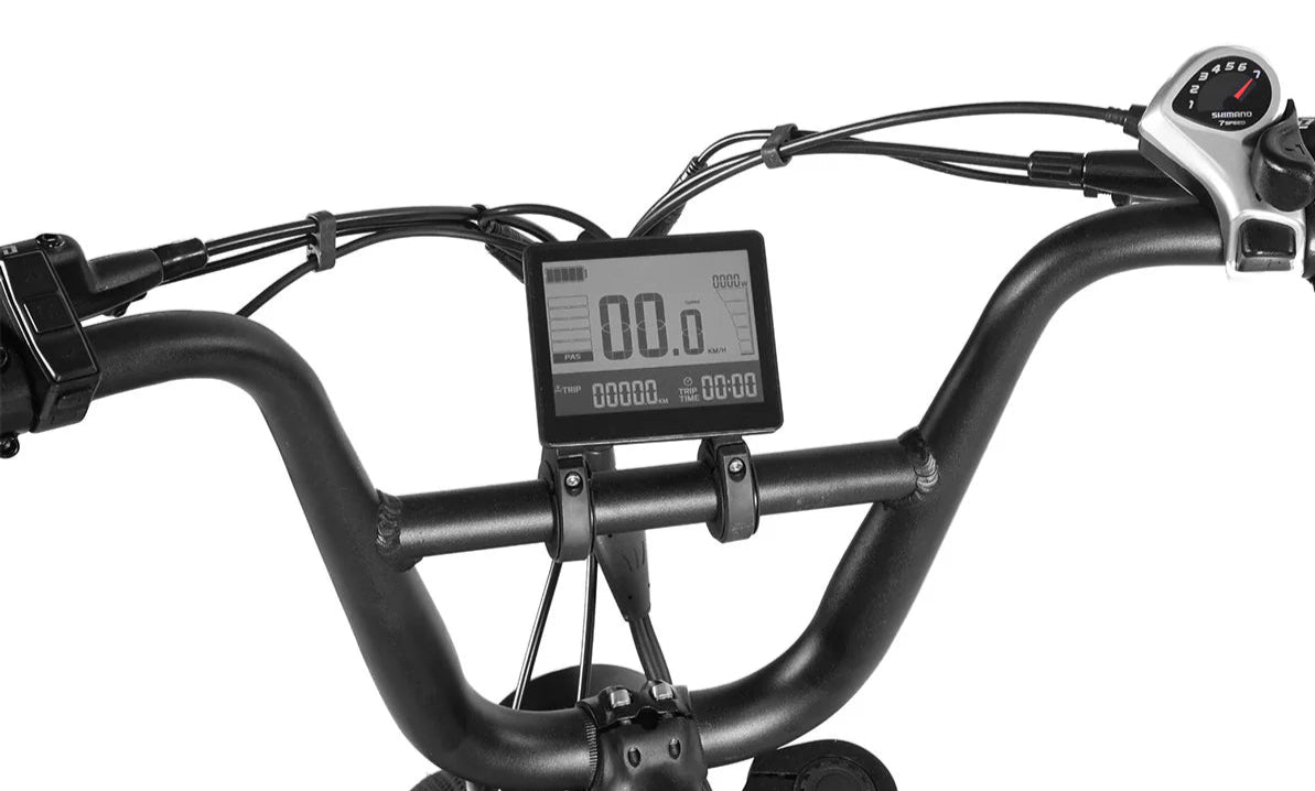Progear E-Raptor 20" Electric Bike