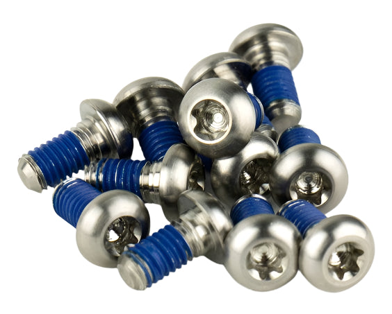 Avid Rotor Bolt Kit – Titanium T25 with Silver Bolts - Qty 12