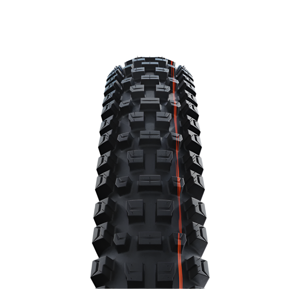 Schwalbe Albert Gravity Pro Radial Ultra Soft Compound Tubeless Tyre