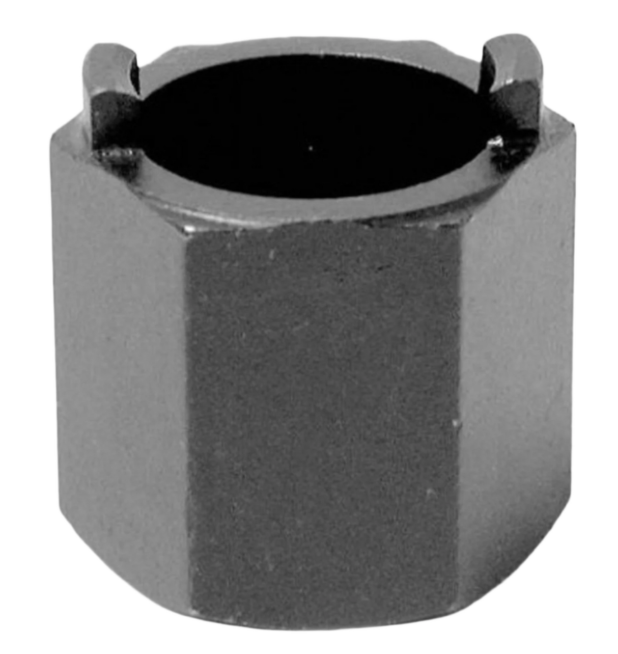 ParkTool Freewheel Suntour 2Notch FR-2