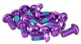 Funn 10mm M5 Disc Rotor Bolts, 15-Pack