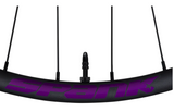 SPANK Rim Decal kit