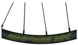 SPANK Rim Decal kit