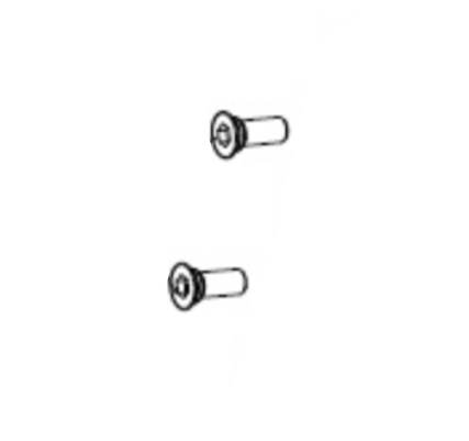 Campagnolo Disc Brake FR Flat Mount Screws for Adaptor (2pcs)