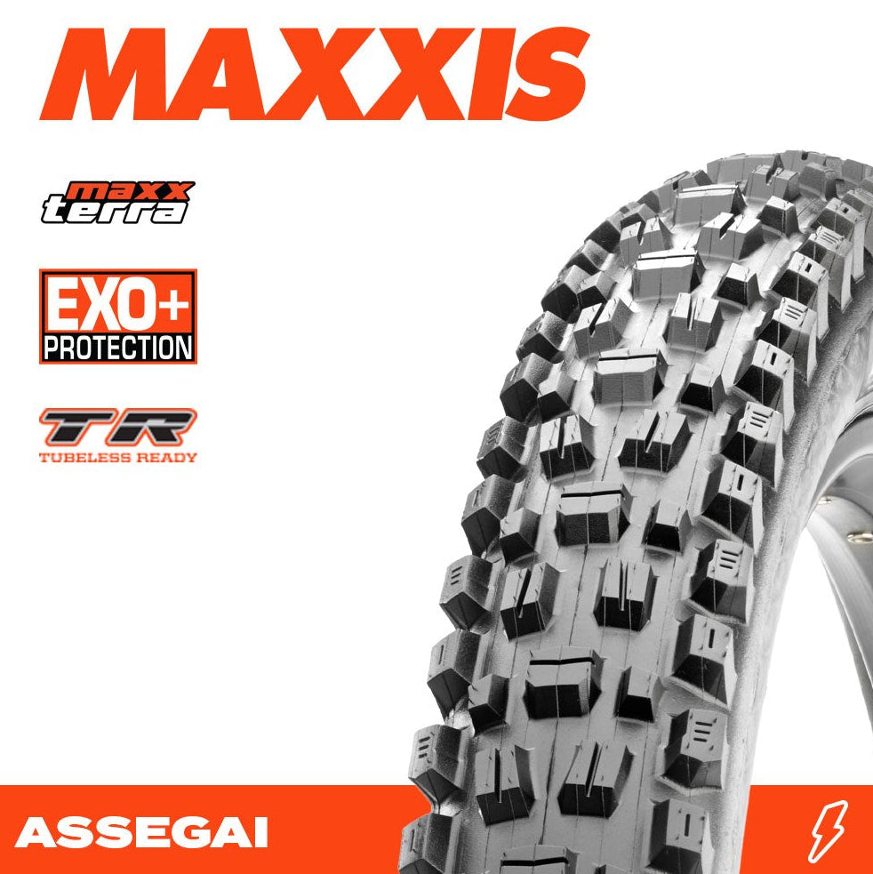 Maxxis Assegai 29x2.50 MaxxTerra/EXO+/TR 60 TPI Folding E25 Tyre
