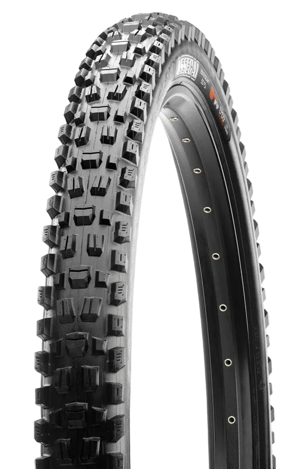 Maxxis Assegai 29x2.50 MaxxTerra/EXO+/TR 60 TPI Folding E25 Tyre