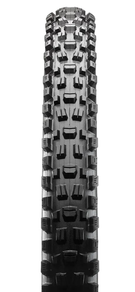 Maxxis Assegai 29x2.50 MaxxTerra/EXO+/TR 60 TPI Folding E25 Tyre