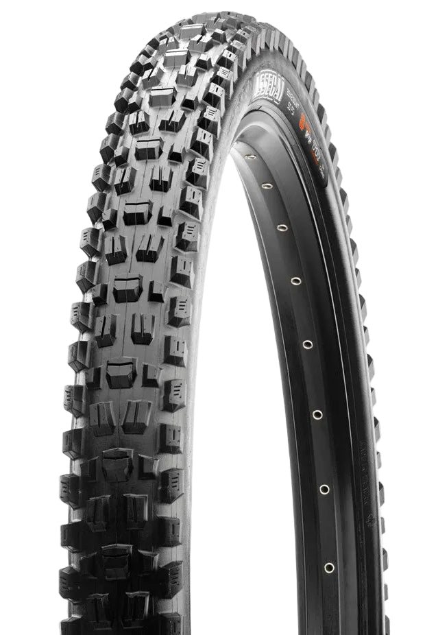 Maxxis Assegai 29x2.50 MaxxTerra/EXO/TR 60 TPI Folding E25 Tyre