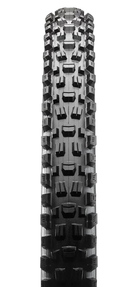 Maxxis Assegai 29x2.50 MaxxTerra/EXO/TR 60 TPI Folding E25 Tyre