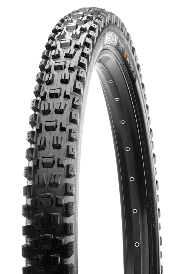 Maxxis Assegai 29x2.60 MaxxTerra/EXO+/TR 60 TPI Folding E25 Tyre