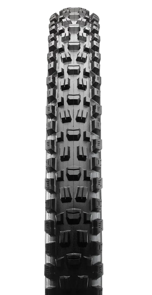 Maxxis Assegai 29x2.60 MaxxTerra/EXO+/TR 60 TPI Folding E25 Tyre