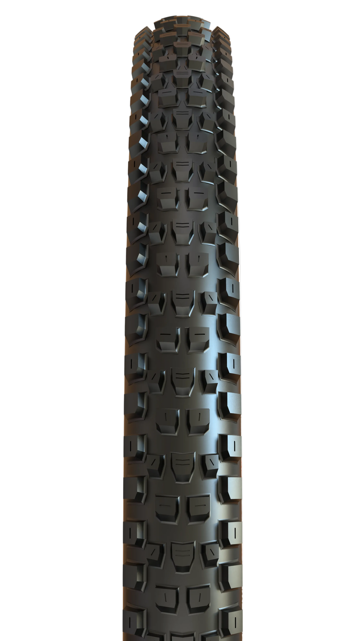 Maxxis Dissector G2 29x2.40 MaxxTerra/EXO/TR 60 TPI Foldable E25 Tyre