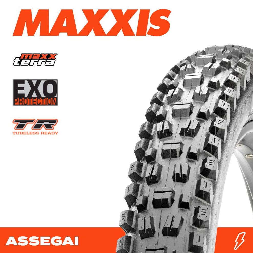 Maxxis Assegai 29x2.60 MaxxTerra/EXO/TR 60 TPI Folding E25 Tyre