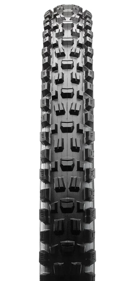 Maxxis Assegai 29x2.60 MaxxTerra/EXO/TR 60 TPI Folding E25 Tyre