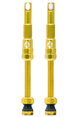 Tru-Tension FillFast Tubeless Valves Pair Gold