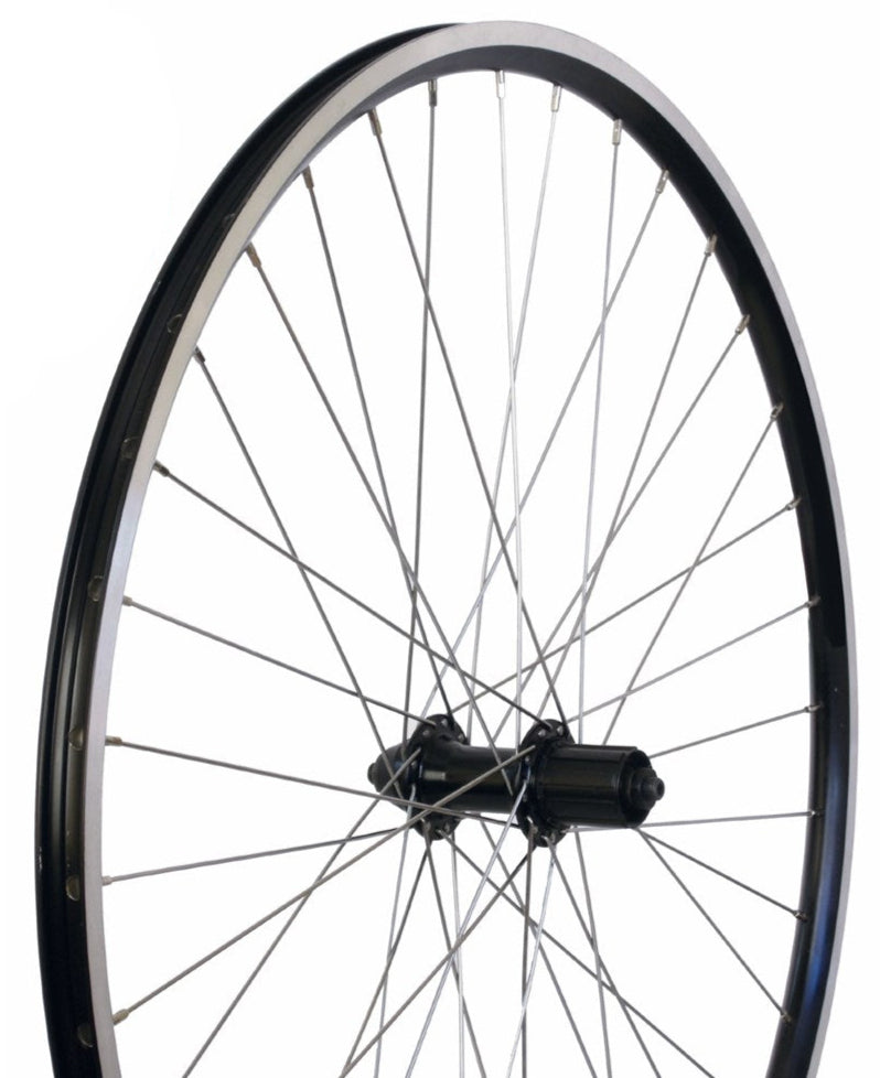Bikecorp ACE 17" Hybrid Wheel 8-Speed Cassette