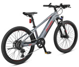 XDS Advance 300 24" MTB E-Bike Grey