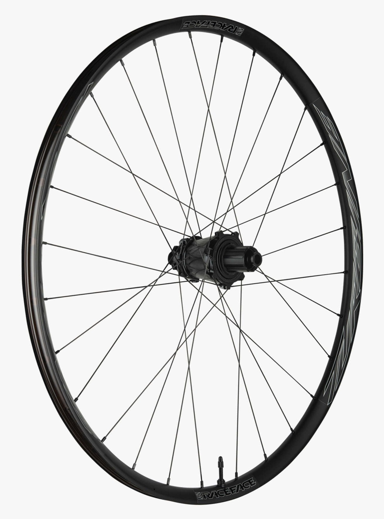 Race Face TURBINE SL 25 29" 15x110 Front Wheel