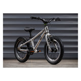 Early Rider Belter 14" Kids Bike 2027