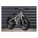 Early Rider Seeker 14" Kids Bike 2027