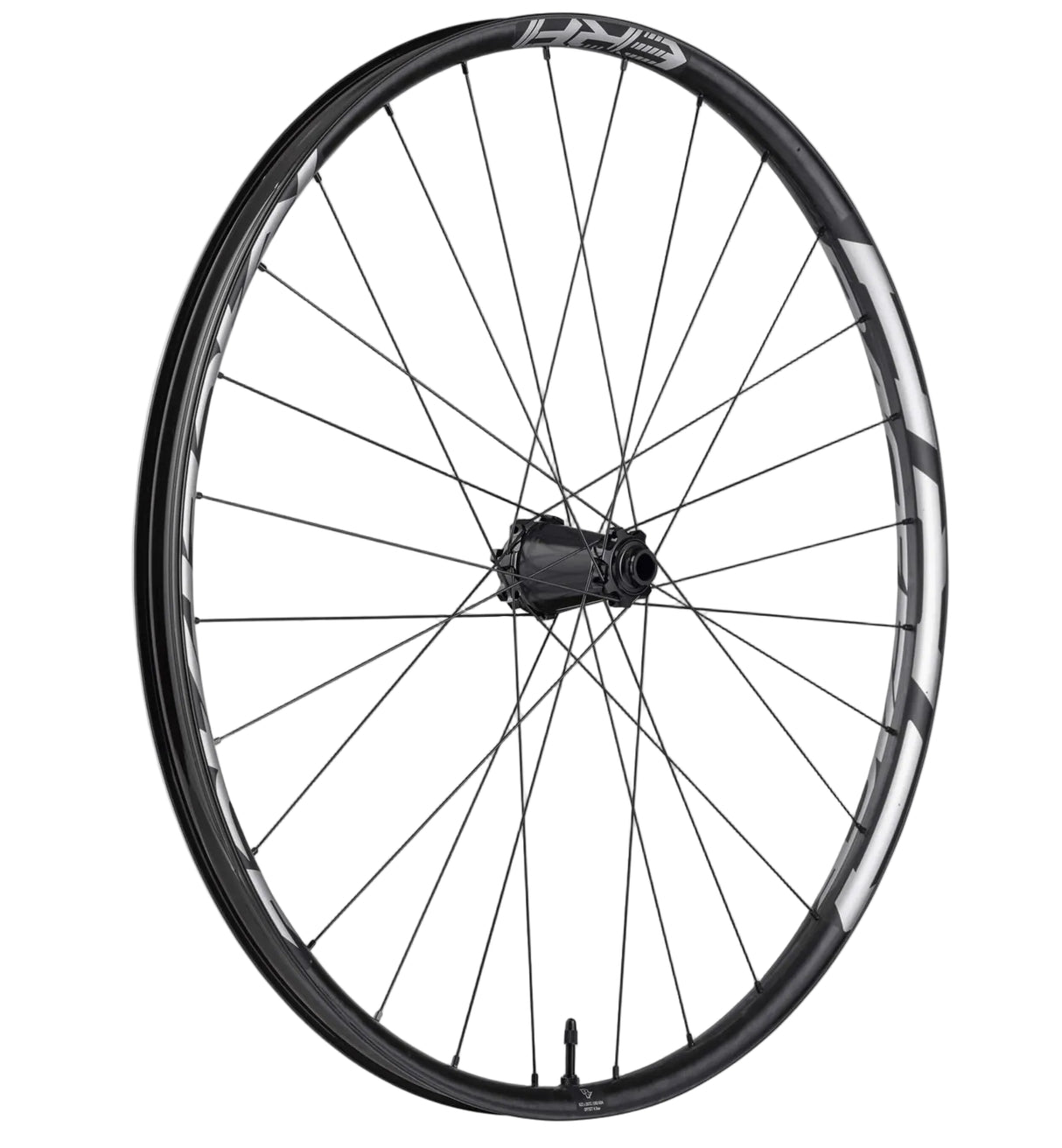 Race Face ERA30 15x110 Center Lock Front Wheel