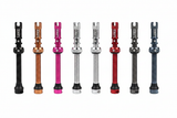 Juice Lubes Tubeless Valves 65mm - All Colours on White