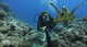 GoPro Dive Housing - HERO11 Black Mini