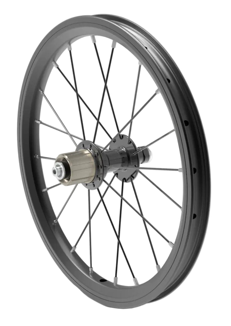 Early Rider 16" Rear Wheel Assembly - F/V