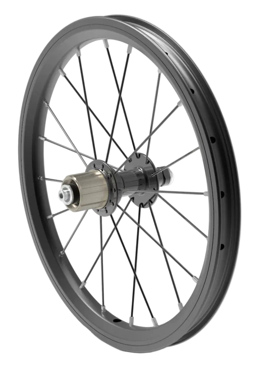 Early Rider 16" Rear Wheel Assembly - A/V