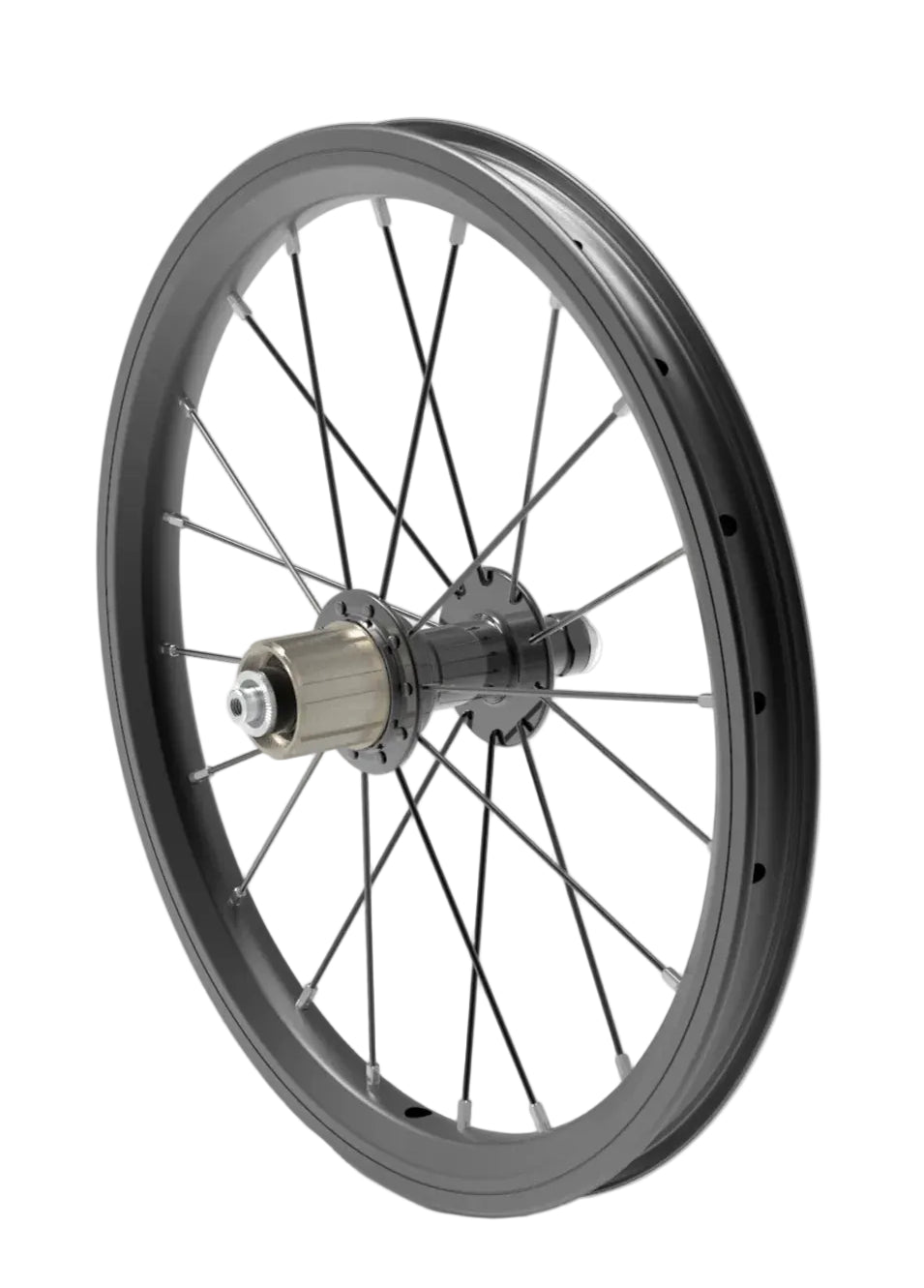 Early Rider 16" Disc Rear Wheel Assembly