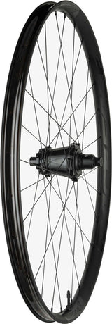 Race Face TURBINE R 30 29" 12x157 Rear Wheel