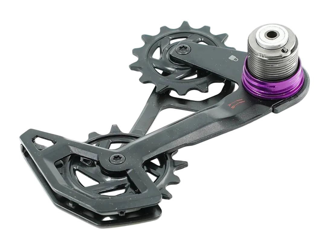 SRAM REAR DERAILLEUR CAGE ASSEMBLY KIT GX T-TYPE EAGLE AXS (FULL