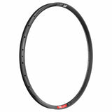 DT Swiss Rim